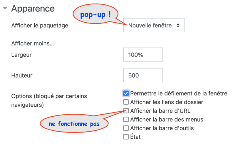 Le quiz Topaze s'ouvre dans une pop-up (problème d'autorisation) et l'URL est visible